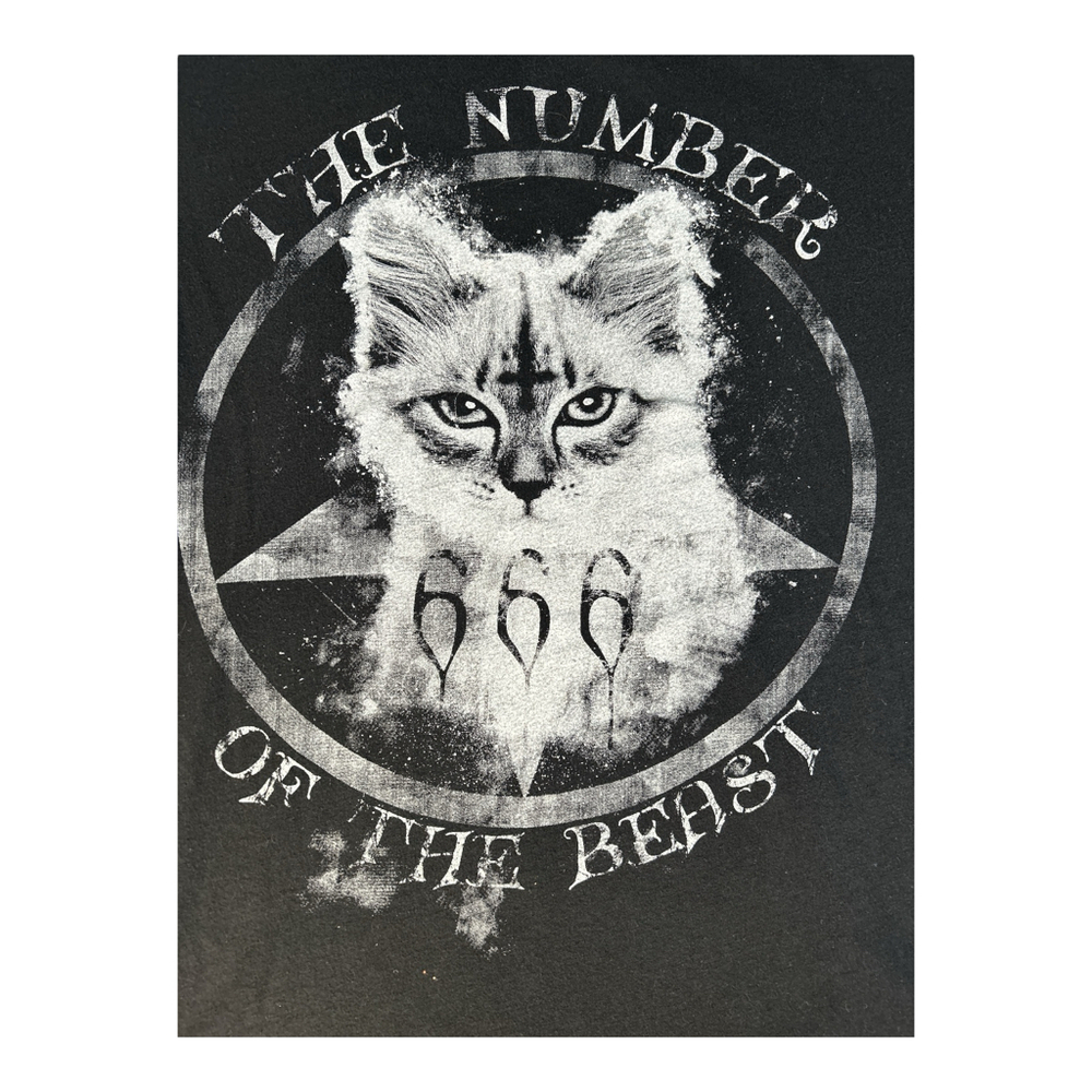Number Of The Beast T-Shirt, Gothic Cat, Evil Feline, Hail Lucifer 666 Sz L - Picture 2 of 3